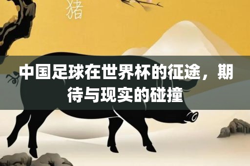 中国足球在世界杯的征途，期待与现实的碰撞