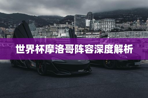 世界杯摩洛哥阵容深度解析