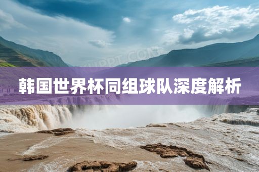 韩国世界杯同组球队深度解析