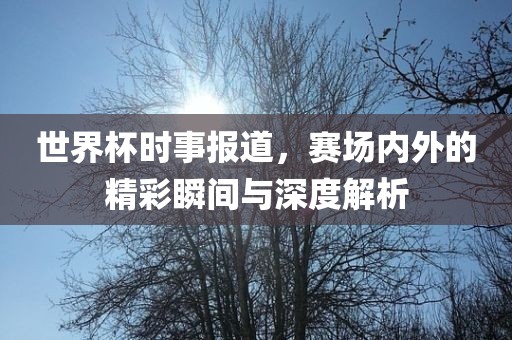 世界杯时事报道，赛场内外的精彩瞬间与深度解析