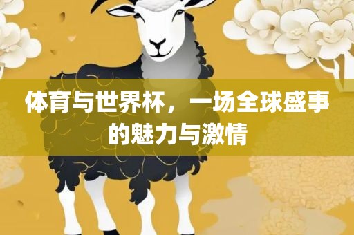 体育与世界杯，一场全球盛事的魅力与激情