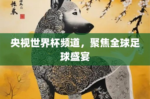 央视世界杯频道，聚焦全球足球盛宴