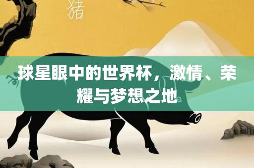 球星眼中的世界杯，激情、荣耀与梦想之地