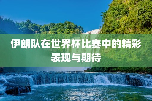 伊朗队在世界杯比赛中的精彩表现与期待