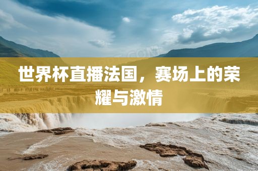 世界杯直播法国，赛场上的荣耀与激情