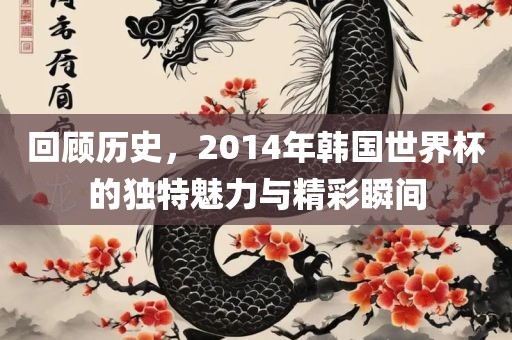 回顾历史，2014年韩国世界杯的独特魅力与精彩瞬间