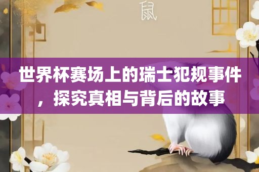 世界杯赛场上的瑞士犯规事件，探究真相与背后的故事