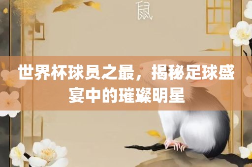 世界杯球员之最，揭秘足球盛宴中的璀璨明星