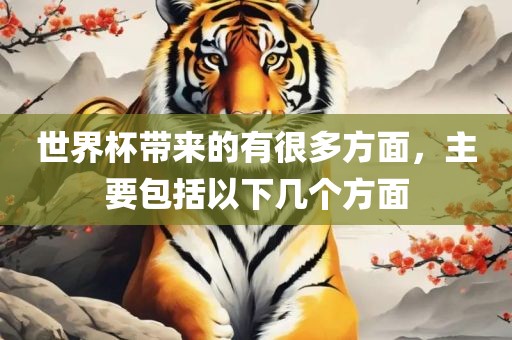 世界杯带来的有很多方面，主要包括以下几个方面