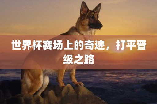 世界杯赛场上的奇迹，打平晋级之路