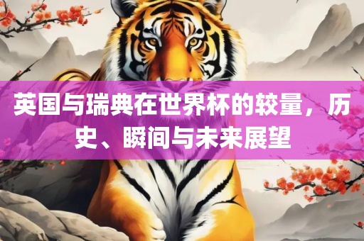英国与瑞典在世界杯的较量，历史、瞬间与未来展望