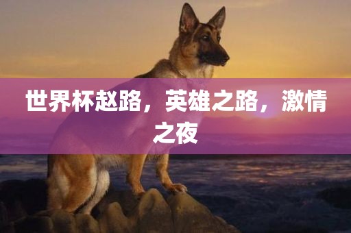 世界杯赵路，英雄之路，激情之夜