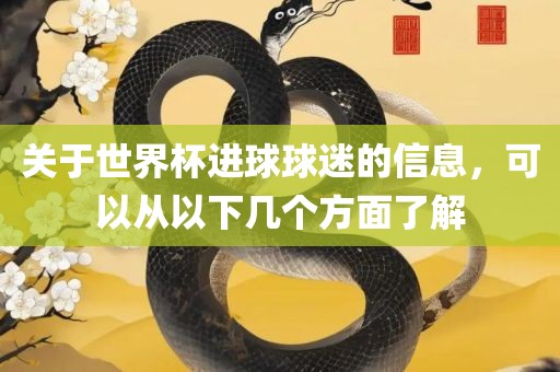 关于世界杯进球球迷的信息，可以从以下几个方面了解