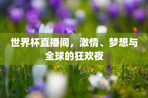 世界杯直播间，激情、梦想与全球的狂欢夜