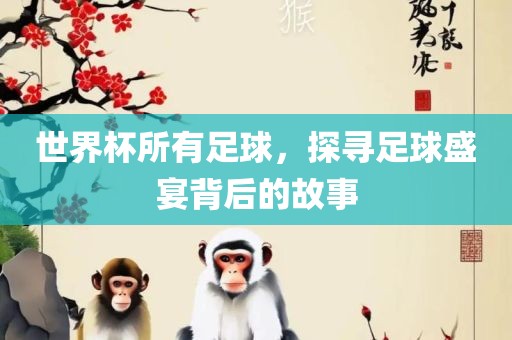 世界杯所有足球，探寻足球盛宴背后的故事
