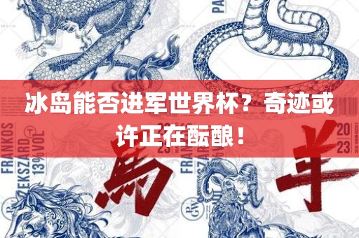 冰岛能否进军世界杯？奇迹或许正在酝酿！