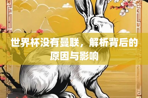 世界杯没有曼联，解析背后的原因与影响