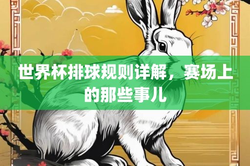 世界杯排球规则详解，赛场上的那些事儿