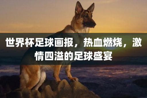 世界杯足球画报，热血燃烧，激情四溢的足球盛宴