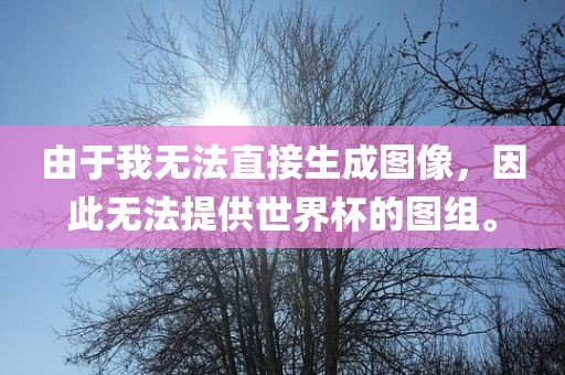 由于我无法直接生成图像，因此无法提供世界杯的图组。