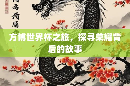 方博世界杯之旅，探寻荣耀背后的故事