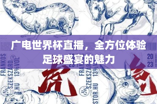 广电世界杯直播，全方位体验足球盛宴的魅力
