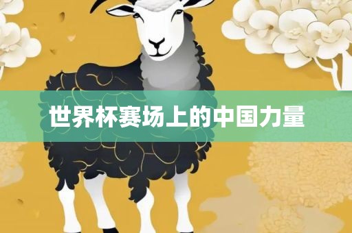 世界杯赛场上的中国力量
