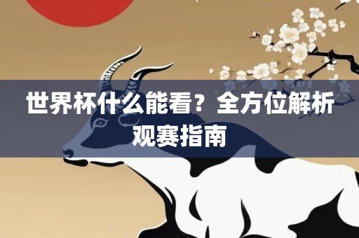 世界杯什么能看？全方位解析观赛指南