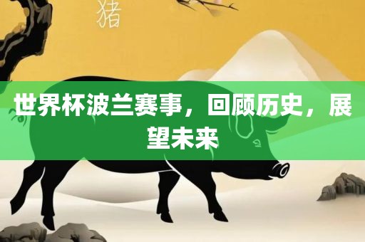 世界杯波兰赛事，回顾历史，展望未来
