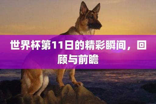 世界杯第11日的精彩瞬间，回顾与前瞻