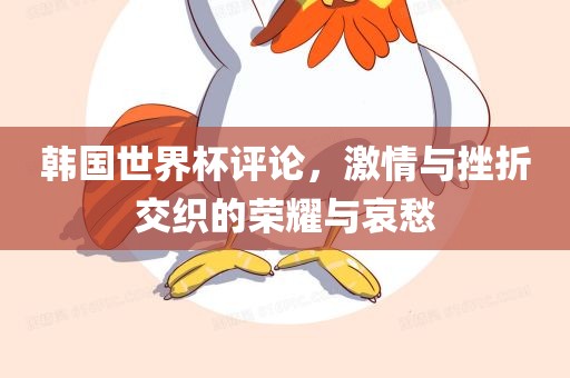 韩国世界杯评论，激情与挫折交织的荣耀与哀愁