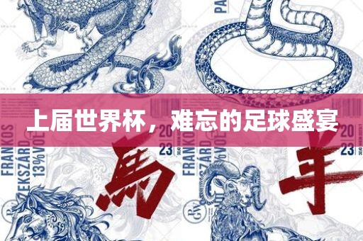 上届世界杯，难忘的足球盛宴眉山市正发家政服务有限公司