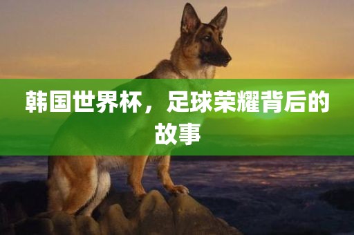 韩国世界杯，足眉山市正发家政服务有限公司球荣耀背后的故事