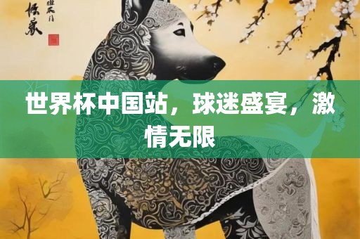 世界杯中国站，球迷盛宴，激情无限