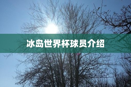 冰岛世界杯球员介绍