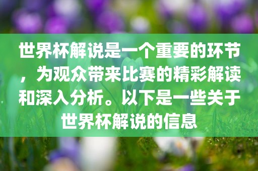 世界杯解说是一个重要的环节，为观众带来比赛的精彩解读和深入分析。以下是一些关于世界杯解说的信息