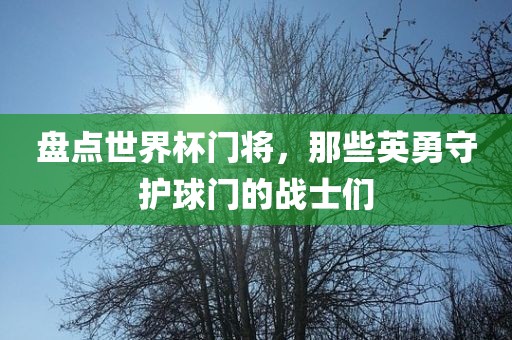 盘点世界杯门将，那些英勇守护球门的战士们