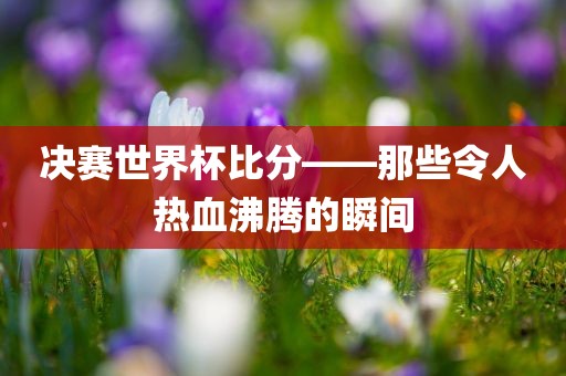 决赛世界杯比分——那些令人热血沸腾的瞬间
