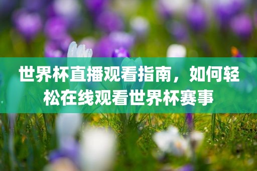 世界杯直播观看指南，如何轻松在线观看世界杯赛事