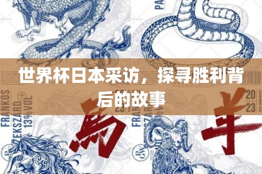 世界杯日本采访，探寻胜利背后的故事