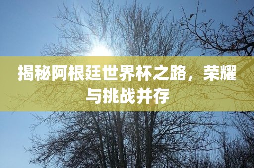 揭秘阿根廷世界杯之路，荣耀与挑战并存眉山市正发家政服务有限公司