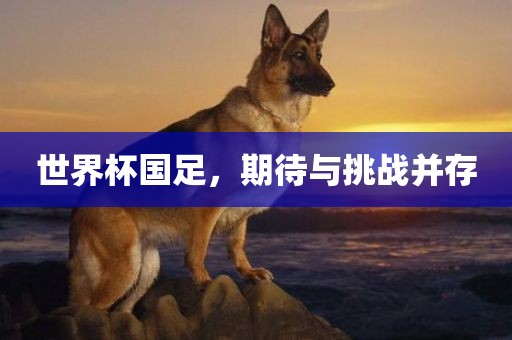 世界杯国足，期待与挑战并存