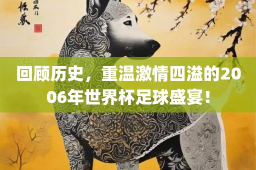 回顾历史，重温激情四溢的2006年世界杯足球盛宴！眉山市正发家政服务有限公司