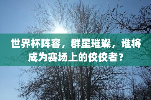 世界杯阵容，群星璀璨，谁将成为赛场上的佼佼者？