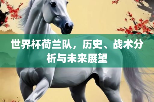 世界杯荷兰队，历史、战术分析与未来展望