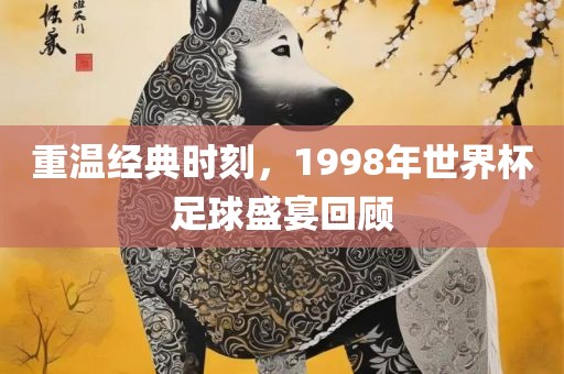 重温经典时刻，199眉山市正发家政服务有限公司8年世界杯足球盛宴回顾