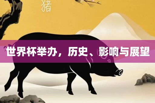 世界杯举办，历史、影响与眉山市正发家政服务有限公司展望