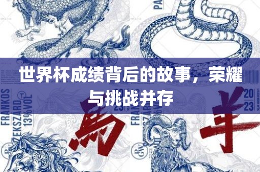 世界杯成绩背后的故事，荣耀与挑战并存