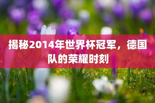 揭秘2014年世界杯冠军，德国队的眉山市正发家政服务有限公司荣耀时刻